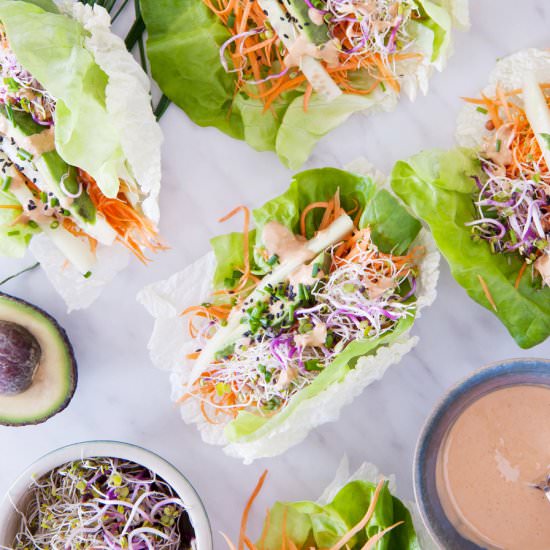 Nappa cabbage spring rolls