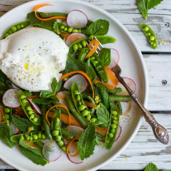 Spring Veggie & Burrata Salad