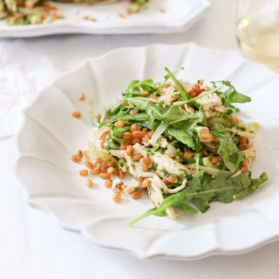 Chicken and Wheat Berry Salad