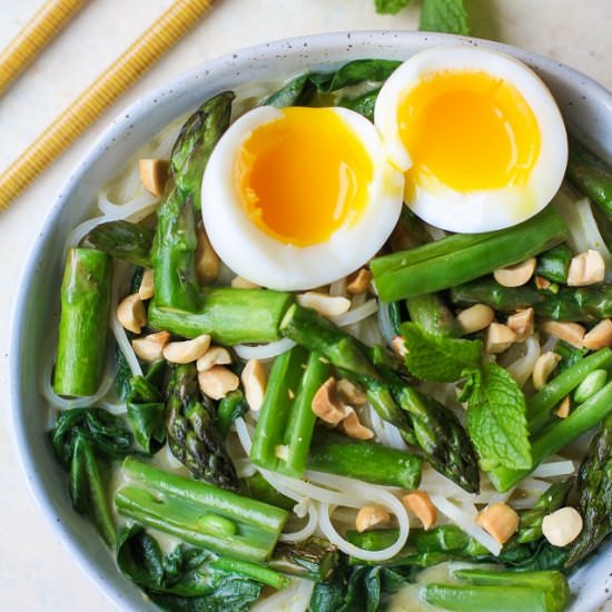 Spring Veggie Green Curry Noodles