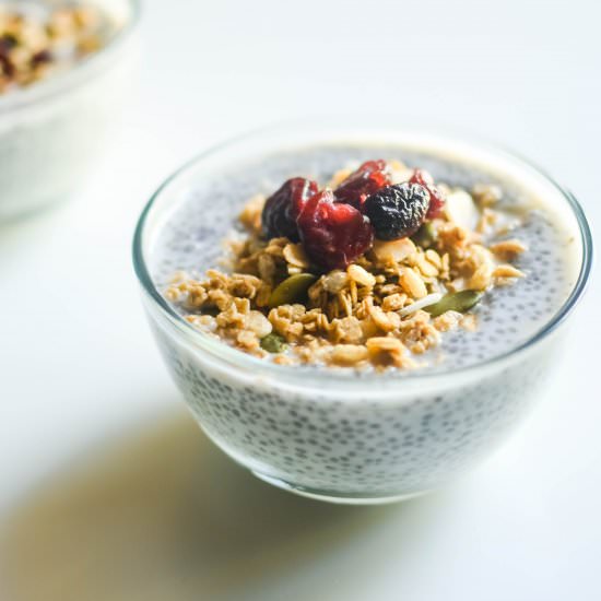 Cranberry Nut Chia Pudding