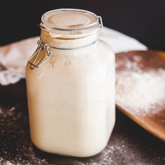 Homemade Sourdough Starter