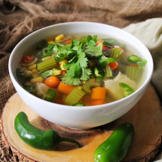 Chicken Vegetable Soup