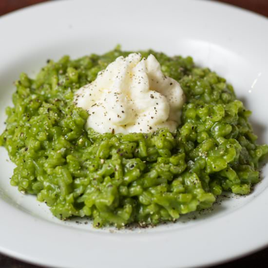 Nettle Risotto with Whipped Burrata