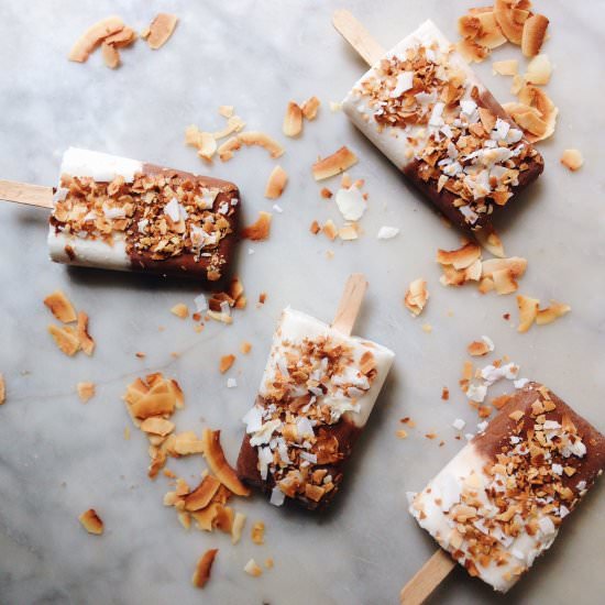 Chocolate and Coconut Ice Creams