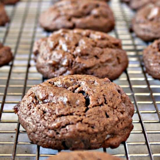 Chocolate Chocolate Chip Cookies