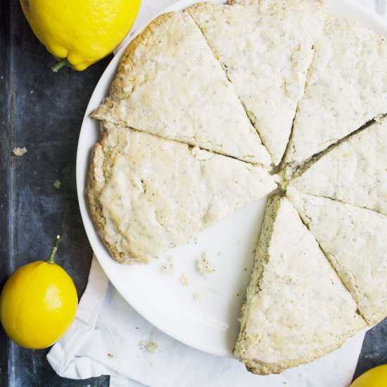 Meyer Lemon Poppyseed Scones