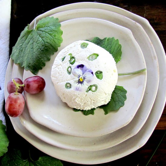 Goat Cheese Appetizer