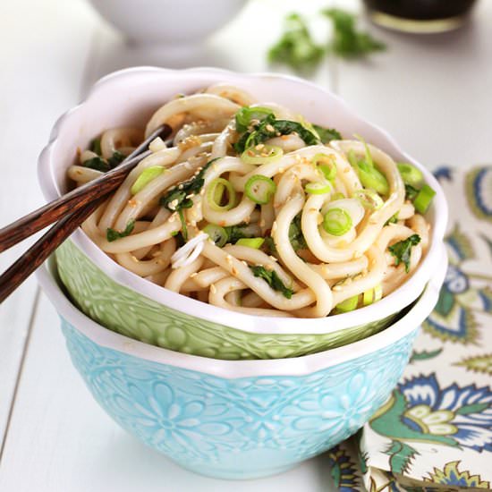 Sweet and Spicy Udon Noodle Bowl