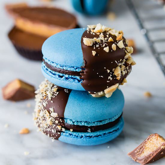 Chocolate Peanut Butter Macarons