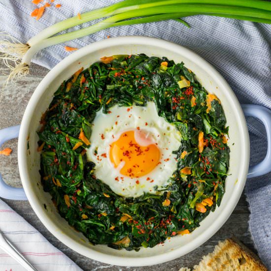 Spinach Carrot Egg