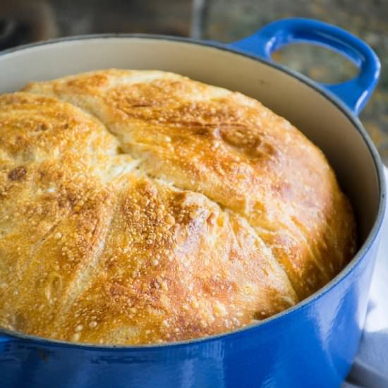 5-Minute No-Knead Bread