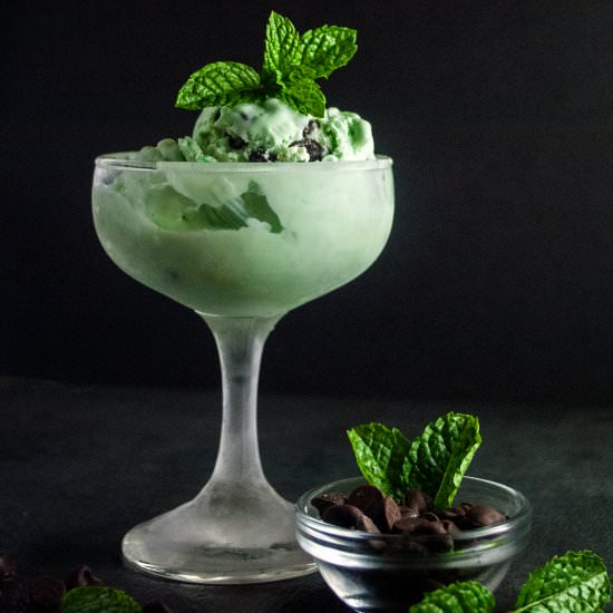 Mint Chocolate Chip Ice Cream