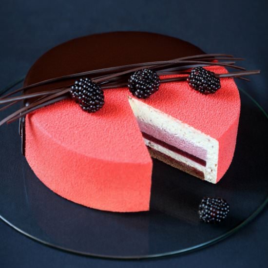“Rubus” Entremet
