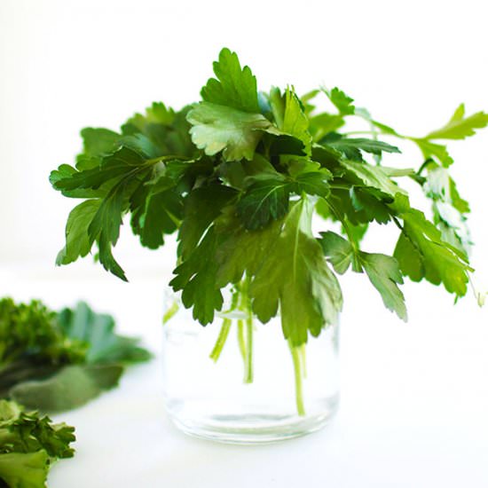 herbs 101