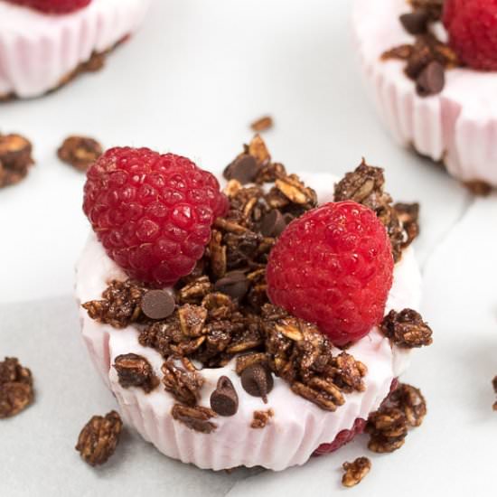 Chocolate Raspberry Frozen Yogurt Bites