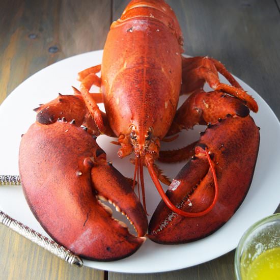 Steamed Lobster
