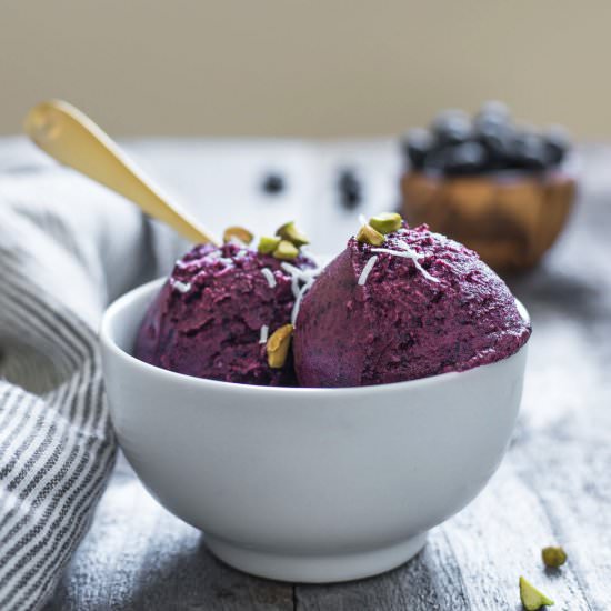 Blueberry Frozen Yogurt
