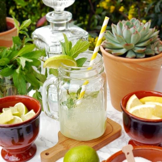 Fruity Mojito Recipe