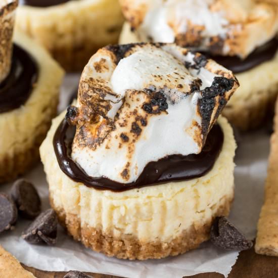 Mini S’mores Cheesecakes