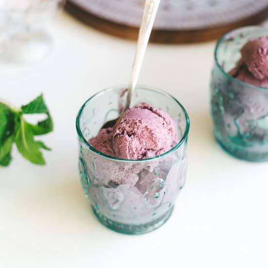 Blueberry, Mango & Mint Ice Cream