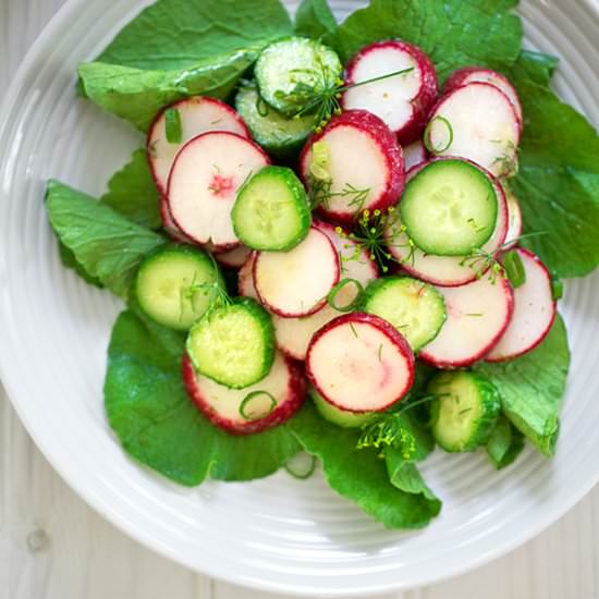 Totally Rad Radish Salad
