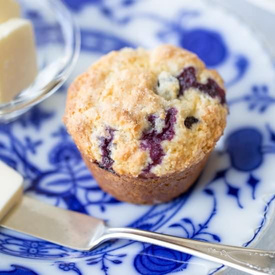 Classic Blueberry Muffins