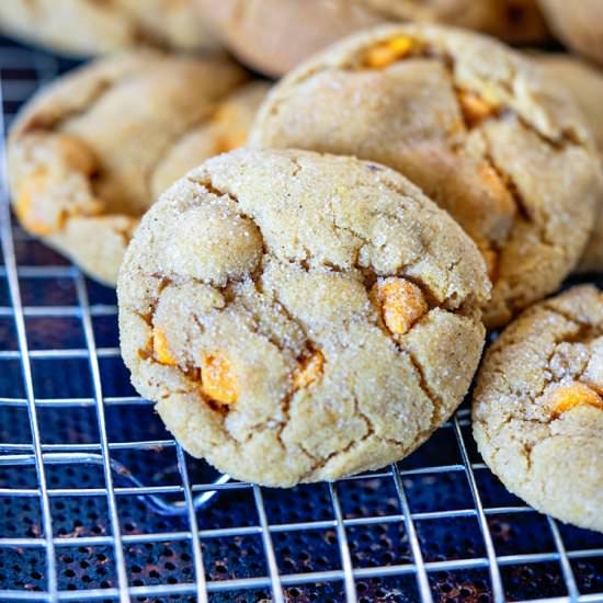 Soft Pumpkin Snickerdoodles