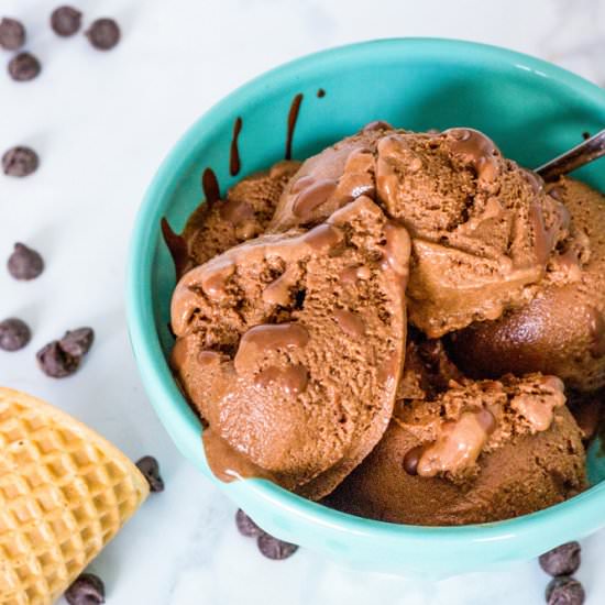 Vegan Chocolate Ice Cream