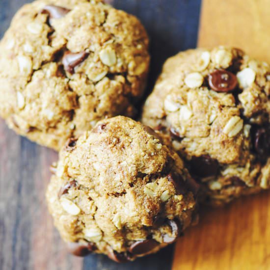 Coconut-Chocolate Chip Oat Cookies