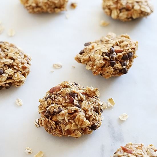 No-Bake Vegan Chocolate Chip Nut Cookie