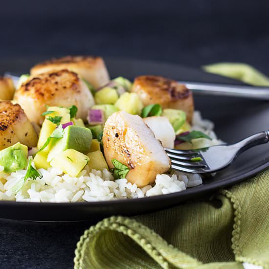 seared scallops