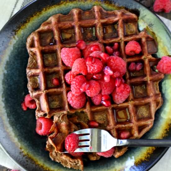 Chocolate Protein Waffles