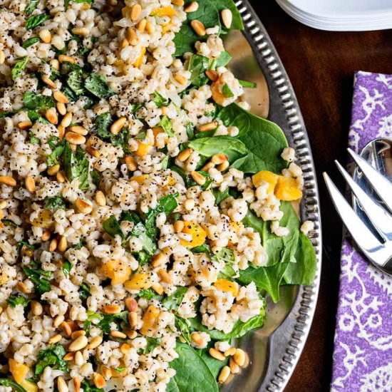 Barley Salad w/ Apricot and Pine Nuts