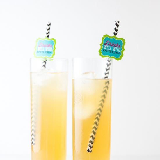 Charred Grapefruit Vodka Tonic