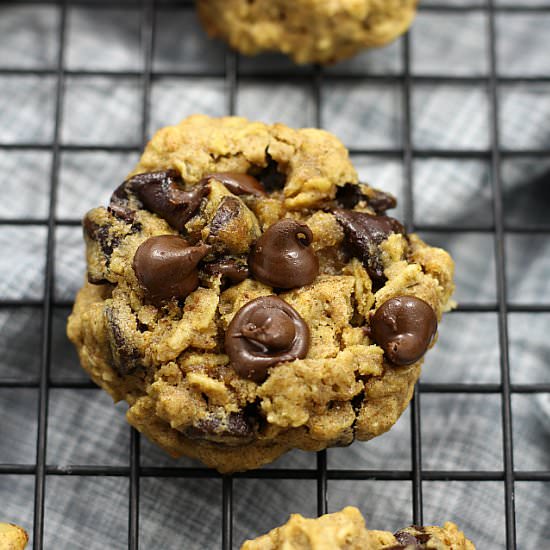 Chocolate Chip Cookie