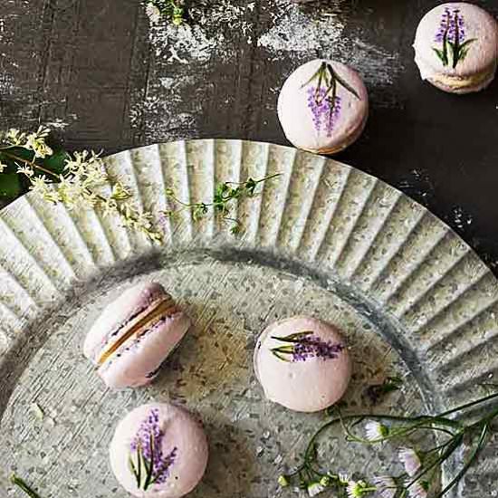 Lavender Macarons