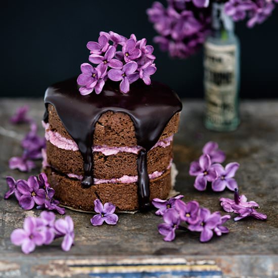 Mini Chocolate Almond Cakes