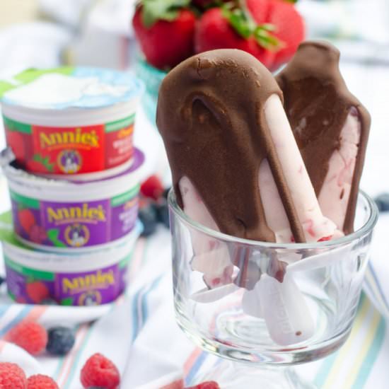 Magic Sell Frozen Yogurt Pops