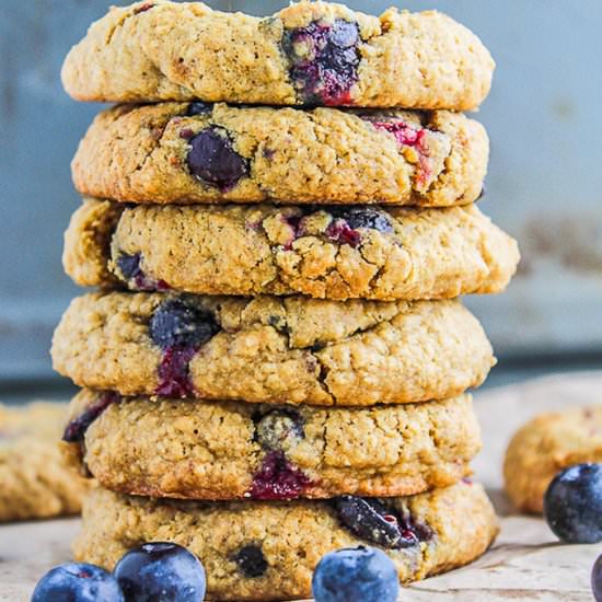 Oatmeal Blueberry Cookies