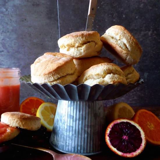 buttermilk biscuits & citrus curd