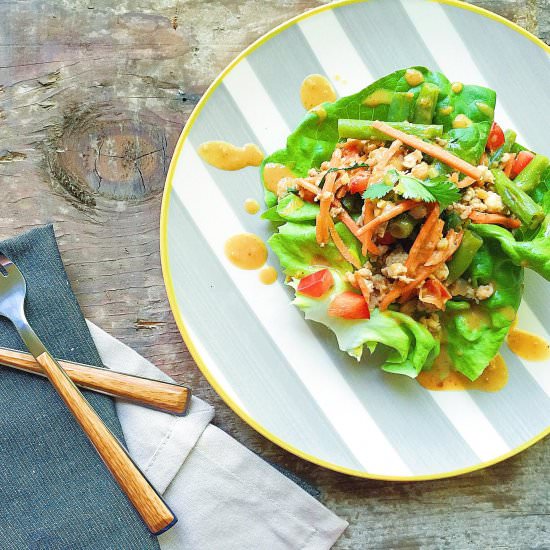 Thai Turkey Lettuce Wraps