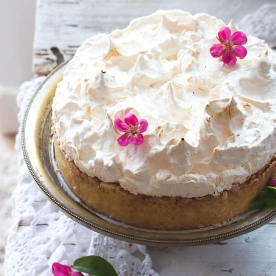 Rhubarb and Coconut Meringue Cake