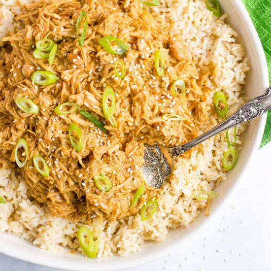Slow Cooker Teriyaki Chicken
