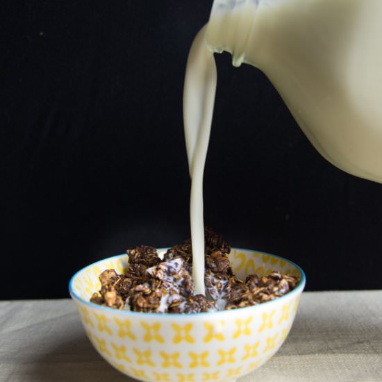 Ginger Molasses Granola