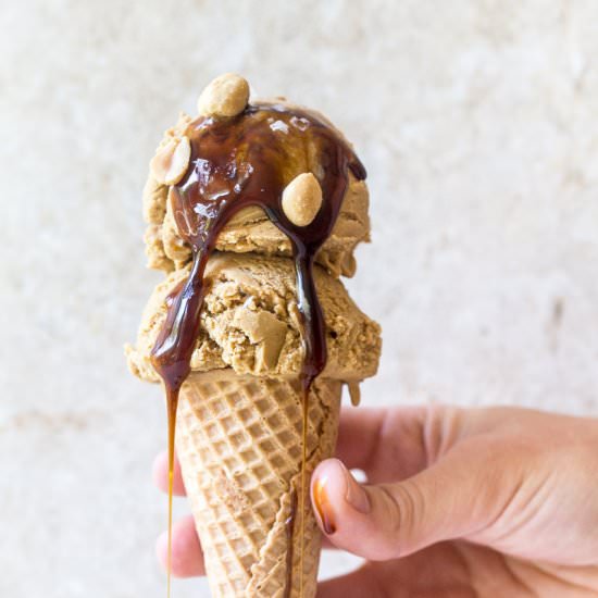 Vegan Peanut Butter Ice Cream