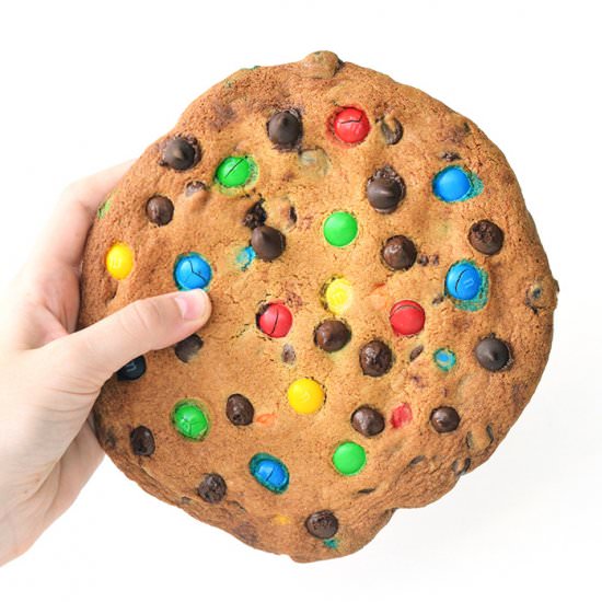 One Giant Chocolate Chip Cookie