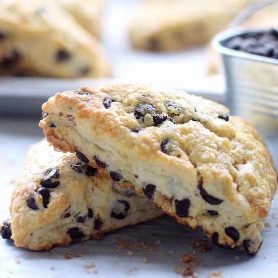 Tender Chocolate Chip Scones