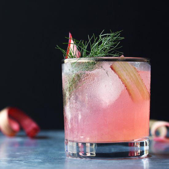 Rhubarb, Fennel & Vermouth Cocktail