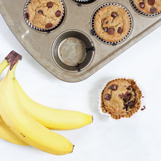 Banana Chocolate Chip Muffins